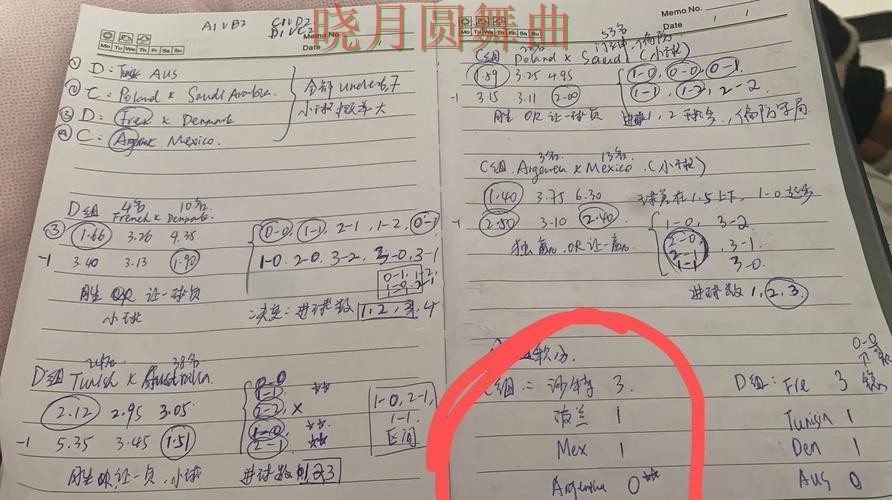 世界杯投注网站每日推荐内容怎么看实用指南